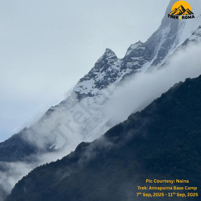 Pic Courtesy Naina Trek Annapurna Base Camp (2)