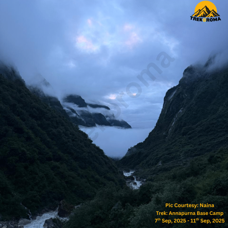 Pic Courtesy Naina Trek Annapurna Base Camp (3)