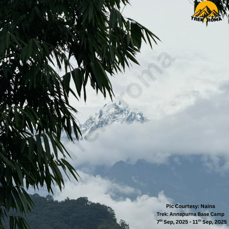 Pic Courtesy Naina Trek Annapurna Base Camp
